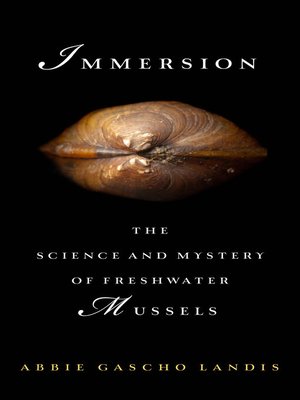 cover image of Immersion